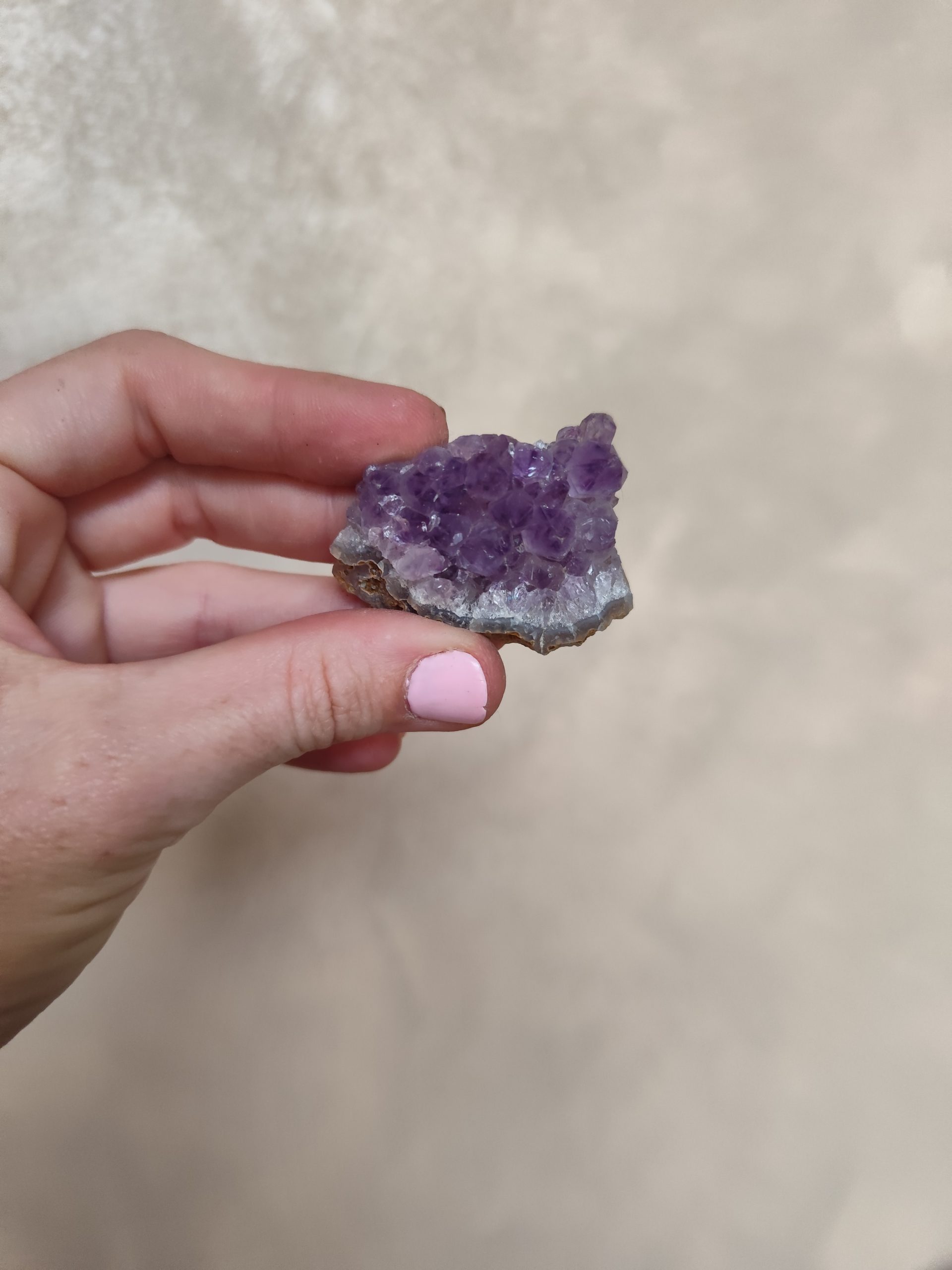 IMG_20250617_154228 DRUSA AMATISTA - Imagen 1