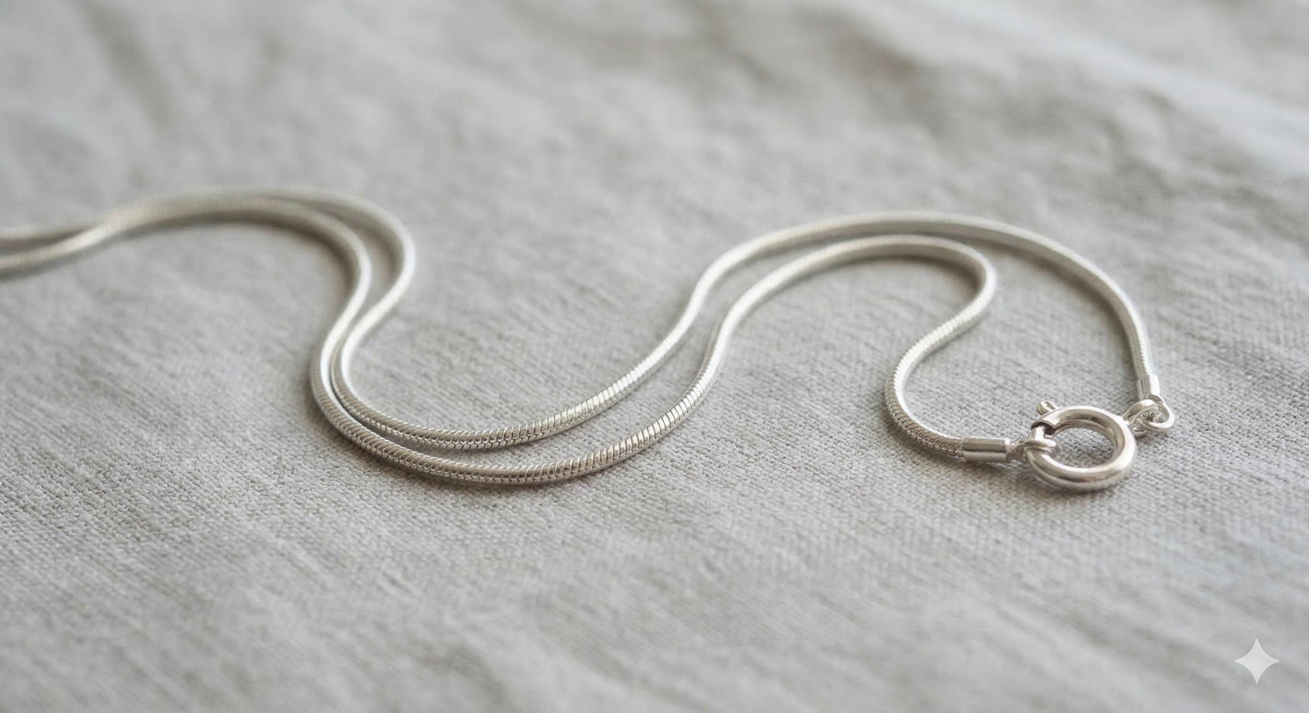 Gemini_Generated_Image_q0xr20q0xr20q0xr Cadena de Plata de Ley 925 - Modelo Cola de Ratón (45 cm) - Imagen 1